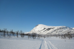 Revdalen